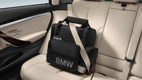 oem car cooler bag