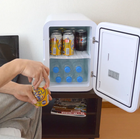 customized mini fridge (1).png