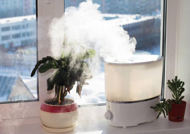 rechargeable dehumidifier